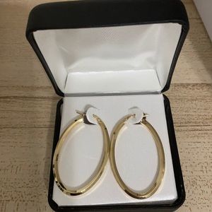 Gold Clasp Hoop earrings